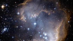 У Львов страстные отношения, Девы решат любые задачи: гороскоп для всех знаков зодиака на июль 2024