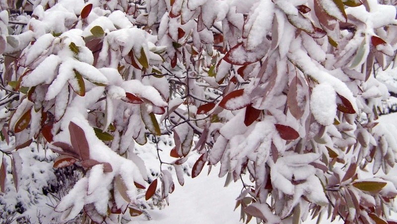 Народные приметы на 24 декабря 2023 года: что нельзя делать в этот день