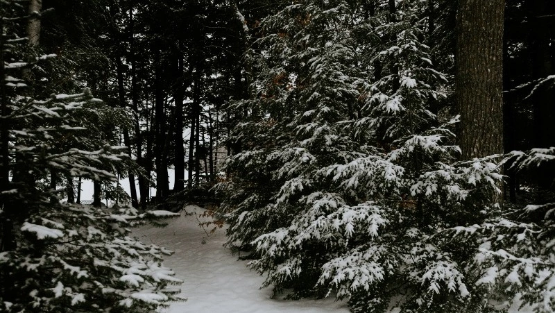 Церковный праздник 20 февраля 2024 года: что строго нельзя делать в этот день