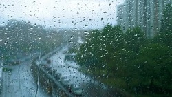 Облачно и сильный дождь: прогноз погоды в Сахалинской области на 9 августа 