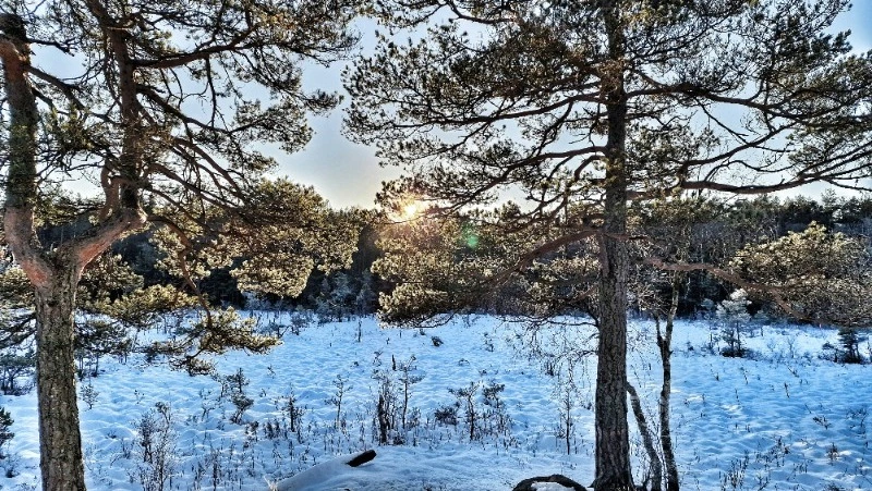 Народные приметы на 24 марта 2024 года: что нельзя делать в этот день