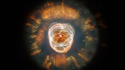 Финансовый гороскоп: кому ждать денежного успеха  с 19 по 25 февраля