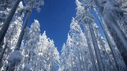 Небольшой снег и потепление: прогноз погоды на Сахалине и Курилах на 13 февраля