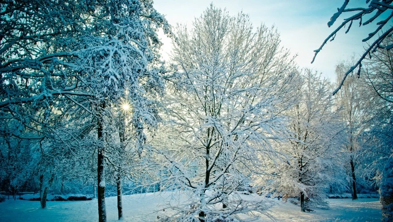 Народные приметы на 29 декабря  2023 года: что нельзя делать в этот день