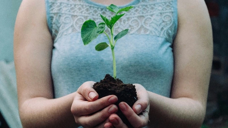 Народные приметы на 16 мая 2024 года — что нельзя делать в этот день