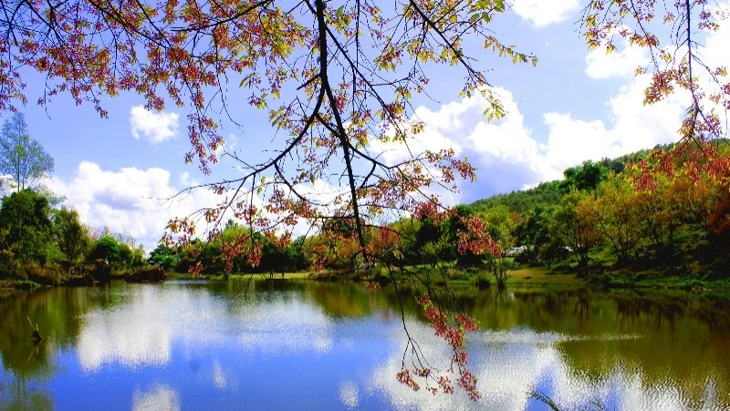 Какая погода будет на Сахалине и Курилах 18 апреля 