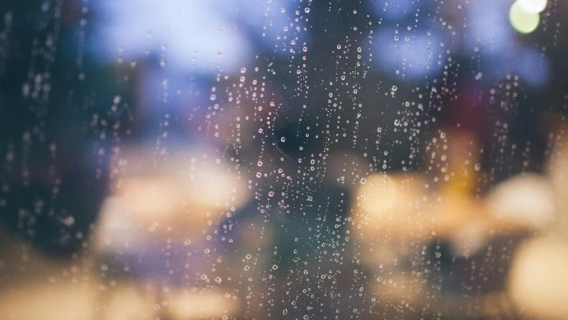 Небольшой дождь и до +20 градусов: погода на Сахалине и Курилах 12 июня