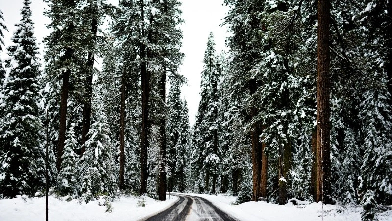 Народные приметы на 29 января 2024 года: что нельзя делать в этот день