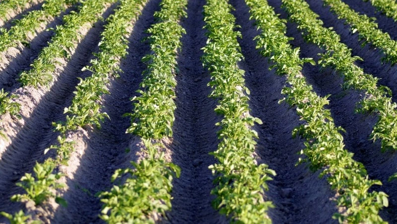 Народные приметы на 30 мая 2024 года — что нельзя делать в этот день