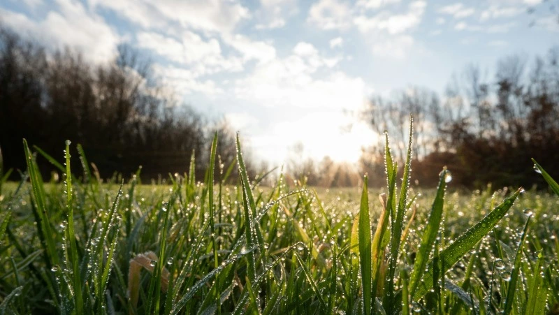 Народные приметы на 7 июня 2024 года — что нельзя делать в этот день