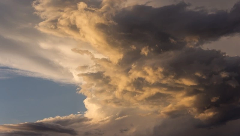 Сильный дождь и порывистый ветер: погода на Сахалине и Курилах 25 июля