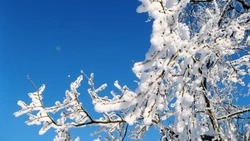 Прогноз погоды на Сахалине и Курилах 17 января 2024 года