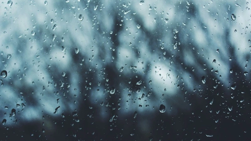 Кратковременный дождь и туман ожидаются на Сахалине и Курилах 12 июля