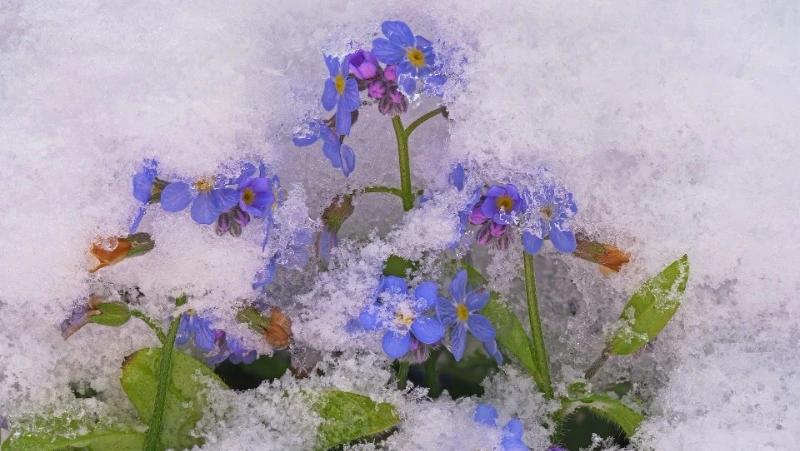 Народные приметы на 1 апреля 2024 года: что нельзя делать в этот день