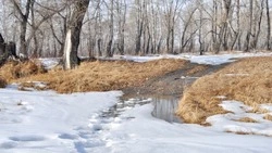 Ветер и до +2 градусов ожидается в Сахалинской области 1 марта