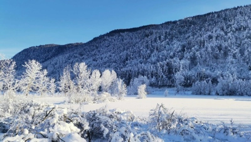 Народные приметы на 18 февраля 2024 года: что нельзя делать в этот день