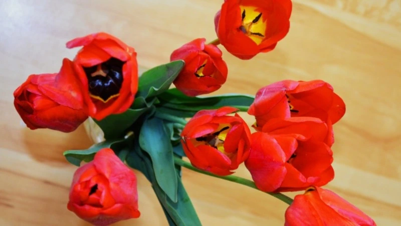 8 марта 2024 года: какой выбрать подарок