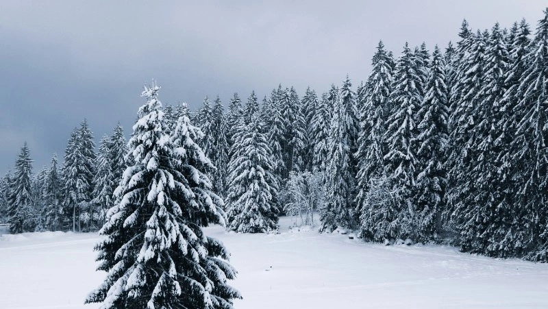 Народные приметы на 26 января 2024 года: что нельзя делать в этот день