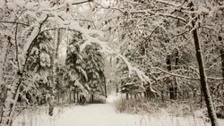 Ветер до 27 м/с и небольшой снег ожидаются на Сахалине и Курилах 21 февраля