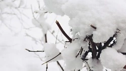 Народные приметы на 31 декабря 2023 года: что нельзя делать в этот день