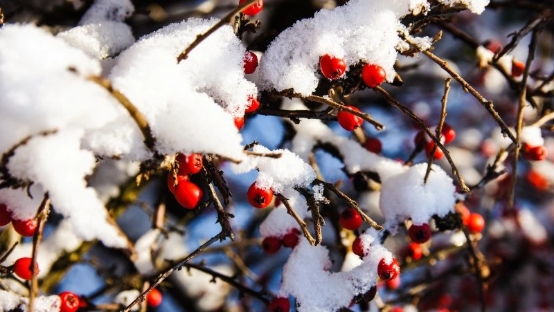 Церковный праздник 1 февраля 2024 года: что строго нельзя делать в этот день