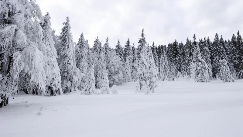 Народные приметы на 28 декабря 2023 года: что нельзя делать в этот день