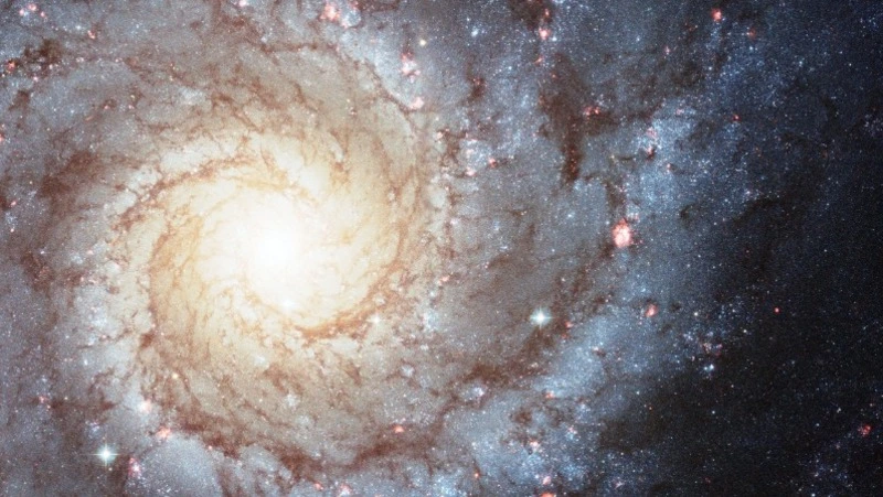 Гороскоп на 25 июля 2024 года для каждого знака зодиака