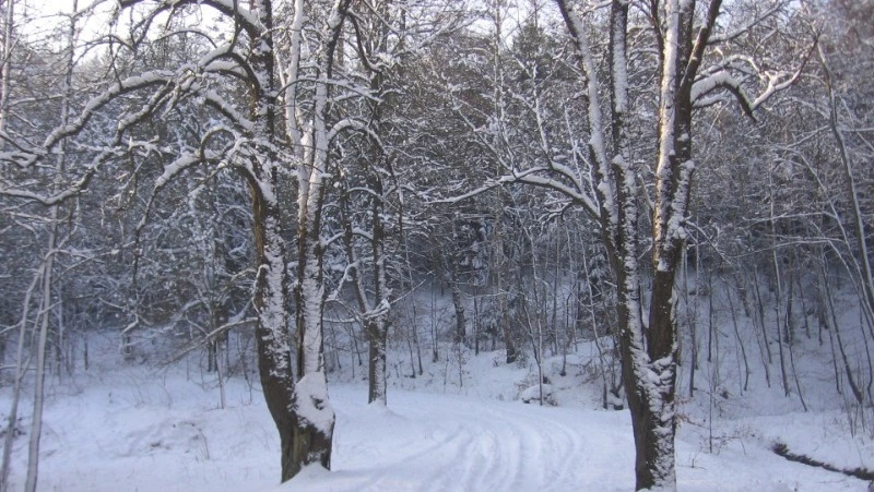 Народные приметы на 15 декабря 2023 года: что нельзя делать в этот день