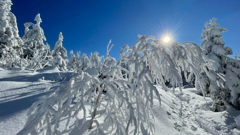 Народные приметы на 13 февраля 2024 года: что нельзя делать в этот день