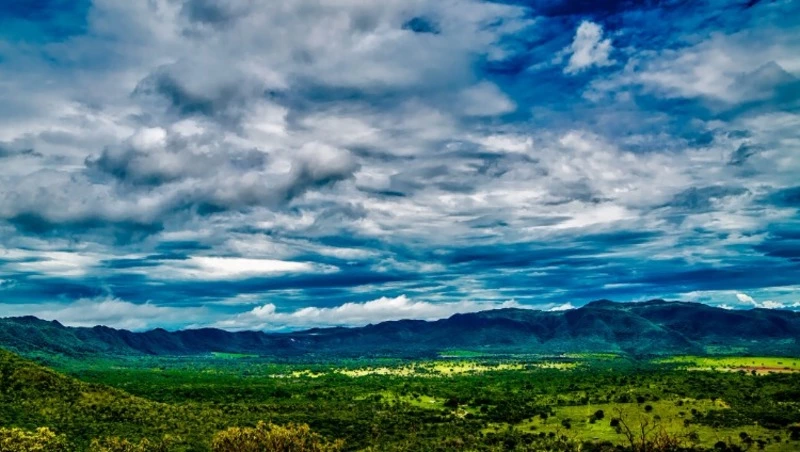 Свежий ветер и осадки ожидаются на Сахалине и Курилах на предстоящей неделе