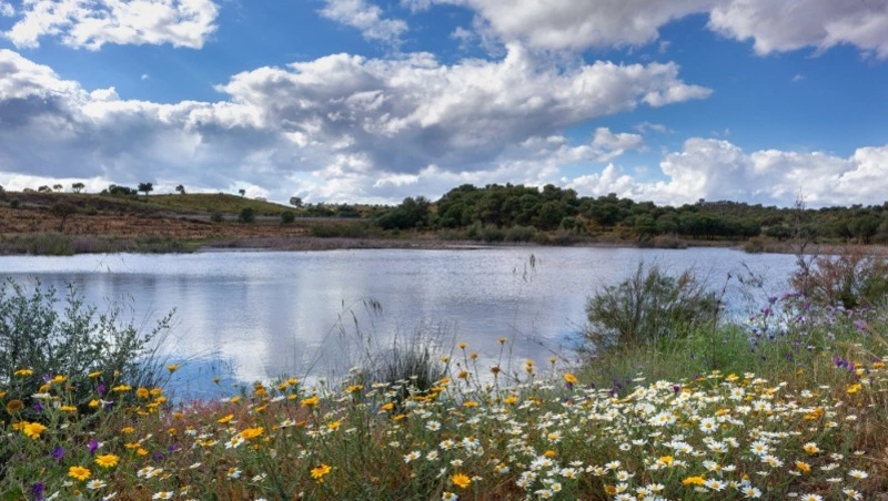 Гадание по картинке на май 2024: кого ждет удача