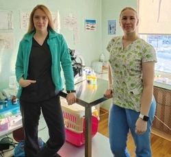 В Северо-Курильске работала выездная бригада ветеринаров