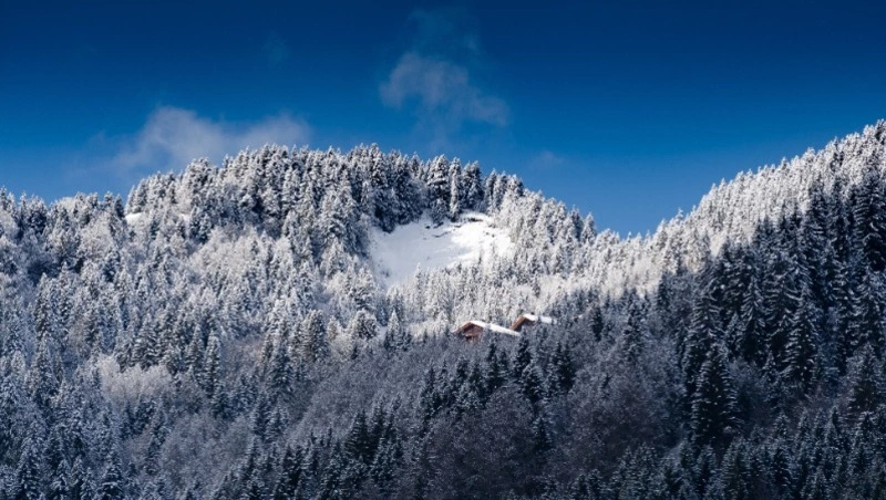 Народные приметы на 3 января 2024 года: что нельзя делать в этот день