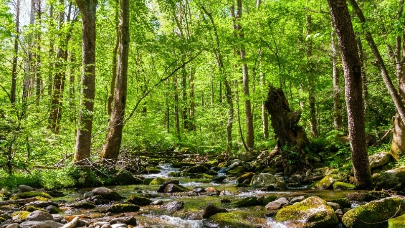 Церковный праздник 12 июля 2024: что строго нельзя делать, приметы