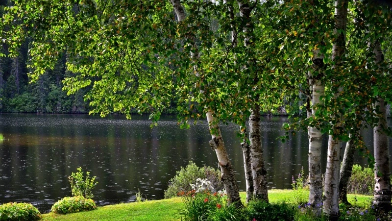 Церковный праздник 15 июля 2024: что строго нельзя делать, приметы