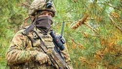 Сроки поступления в военные вузы Минобороны продлили до 1 августа