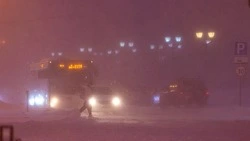 Снег и ветер с порывами до 20 м/с: прогноз погоды в Сахалинской области на неделю