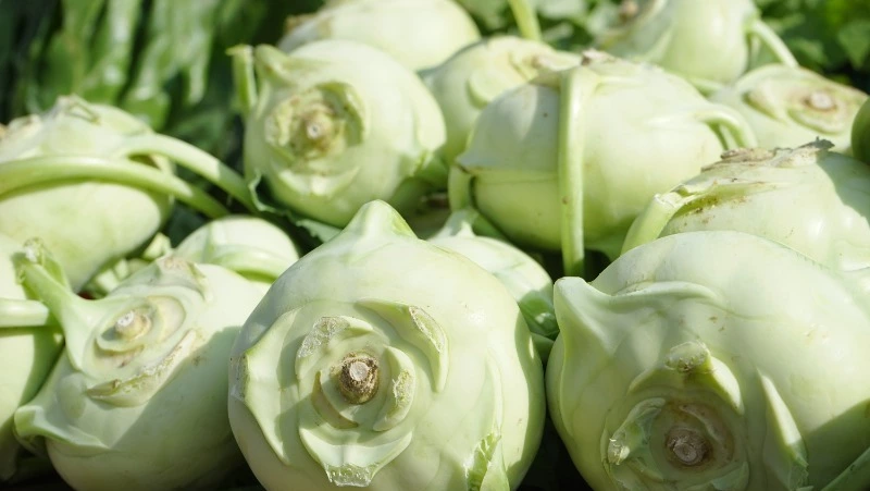 Народные приметы на 13 августа 2024: что можно и нельзя делать в Евдокимов день