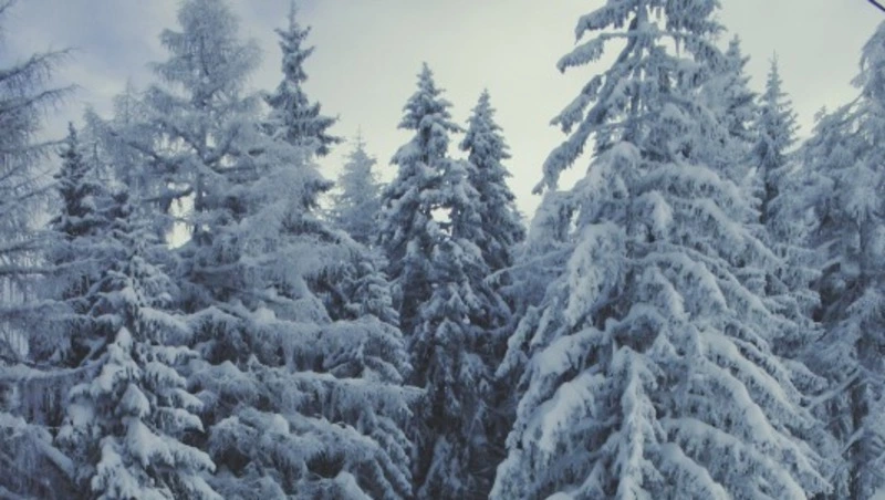 Народные приметы на 8 января 2024 года: что нельзя делать в этот день