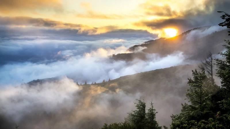 Умеренный дождь и северный ветер ожидаются в Сахалинской области 15 августа