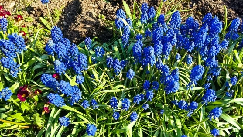 Народные приметы на 21 мая 2024 года — что нельзя делать в этот день