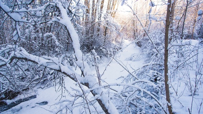 Ветер с порывами до 16 м/с и небольшой снег ожидаются на Сахалине и Курилах 5 марта