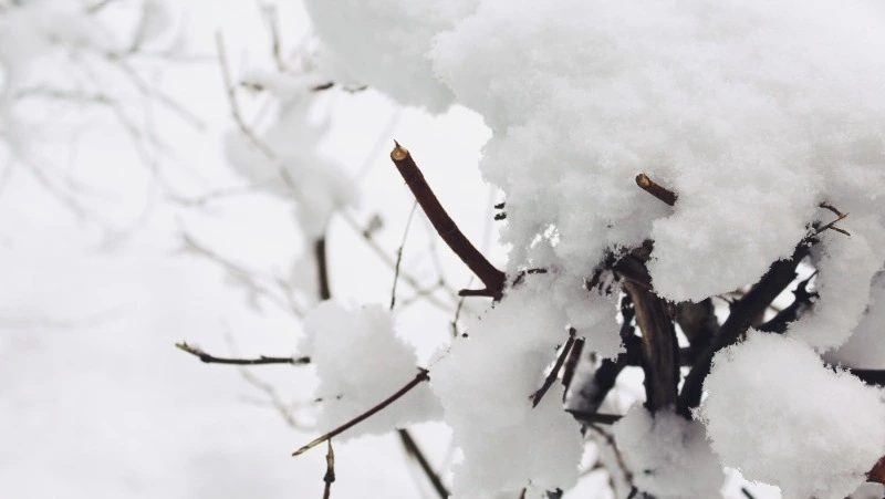 Народные приметы на 31 декабря 2023 года: что нельзя делать в этот день