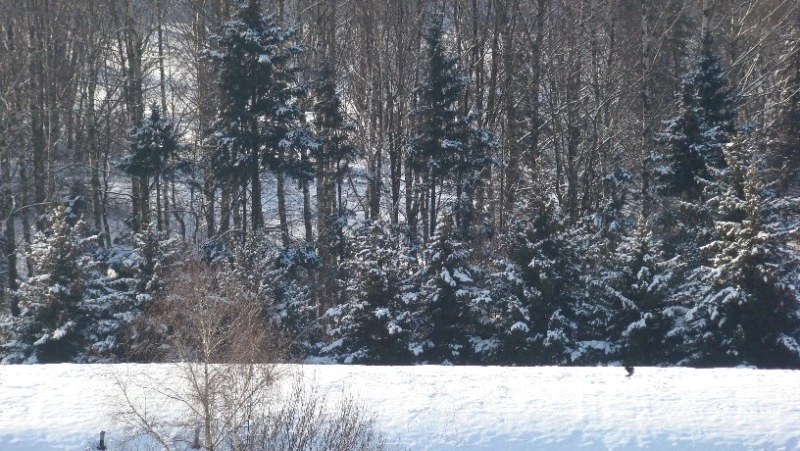 Народные приметы на 18 января 2024 года: что нельзя делать в этот день