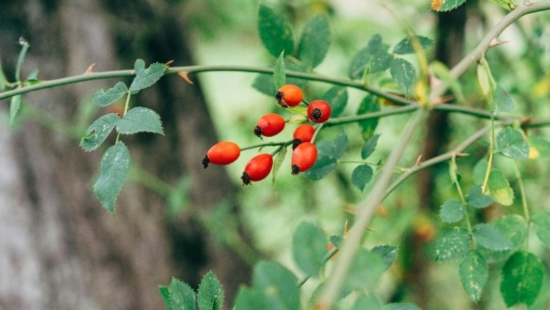 Народные приметы на 6 июня 2024 года — что нельзя делать в этот день