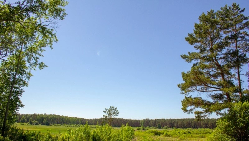 Церковный праздник 1 июля 2024: что строго нельзя делать, приметы