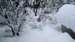 Циклон и морозы: прогноз погоды в Сахалинской области на неделю