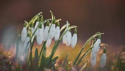 Какой сегодня праздник: что было 19 апреля