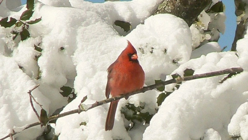 Народные приметы на 1 марта 2024 года: что нельзя делать в этот день