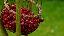 Народные приметы на 6 августа 2024: традиции, поверья, что нельзя делать в этот день  